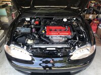 IMG_7166.jpeg