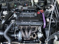 IMG_4571.jpeg