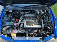 IMG_2907.jpeg