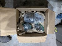 PXL_20240628_030340530.jpg