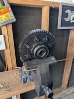 PXL_20240629_191137551.jpg