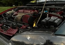 IMG_7063.jpeg