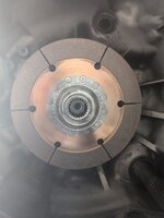 PXL_20240713_174406210.jpg
