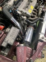 IMG_7113.JPEG IMG_7113.JPEG