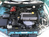 IMG_2565.jpeg