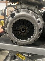 IMG_3338.jpeg