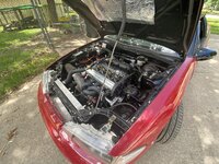 IMG_4031.JPG