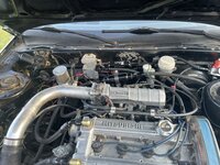 IMG_3970.JPEG