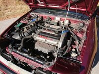 DSC_0187.JPG