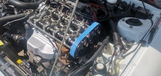 IMG_20230604_143130.jpg