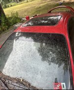 IMG_5600.jpeg