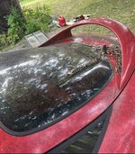 IMG_5604.jpeg