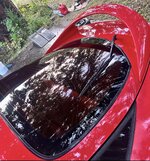 IMG_5605.jpeg