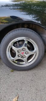 IMG_20220919_145431.jpg