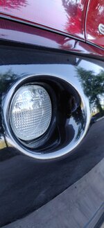 IMG_20220919_155452.jpg