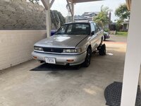 IMG_8289.jpeg