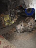 IMG_20230401_115550321.jpg