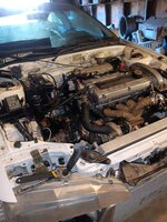 IMG_20240915_102250.jpg
