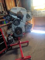 IMG_20240311_151844.jpg