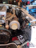 IMG_20240815_115051.jpg