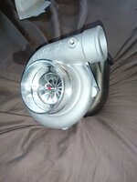 IMG_20240416_145028.jpg