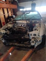 IMG_20240311_154259.jpg