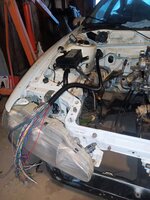 IMG_20240419_193515.jpg
