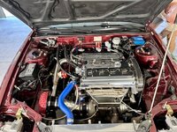 IMG_1037.jpeg