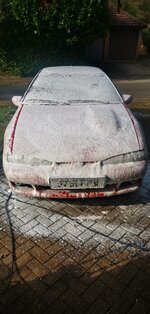 IMG_20240921_101309.jpg