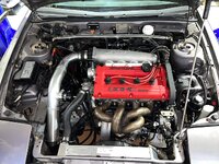 IMG_7291.jpeg