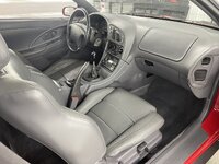IMG_4050.jpeg