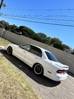 IMG_7520.jpeg