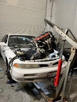 IMG_3101.jpeg