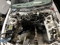 IMG_3106.jpeg