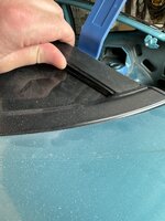 IMG_1169.jpeg