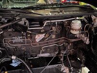 IMG_4950.jpeg