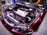 IMG_0083.jpeg