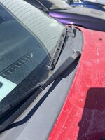 IMG_2267.jpeg