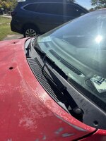 IMG_2268.jpeg