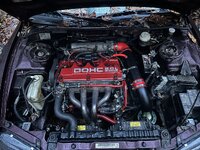 IMG_1695.jpeg