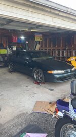 IMG_7505.jpeg