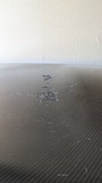 PXL_20241116_203720759.jpg