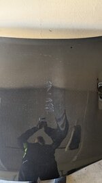 PXL_20241116_203717012.jpg