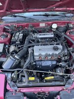 IMG_4992.jpeg
