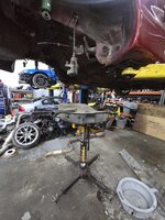 IMG_6952.jpeg