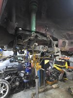 IMG_6953.jpeg