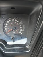 IMG_20240903_184147.jpg