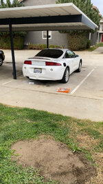IMG_1206.jpeg