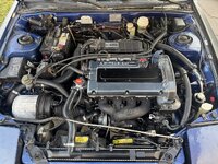 IMG_0540.jpeg