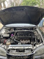 IMG_3444.jpeg
